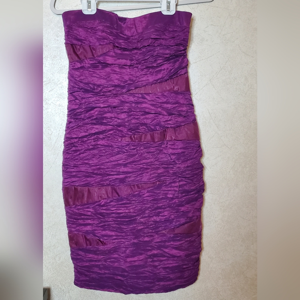 NWT Daisy Strapless Dress in Rich Purple Metallic Purple Size M